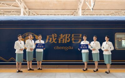 10 Days Chengdu Hao (Yunnan Cherry Blossom+Yuanyang Terraces） / 10天成都号（云南樱花季+元阳梯田）